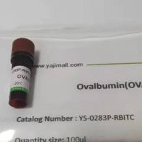 SAV1SAV1蛋白抗体