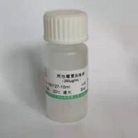 HP1BP3异染色质蛋白1结合蛋白3抗体