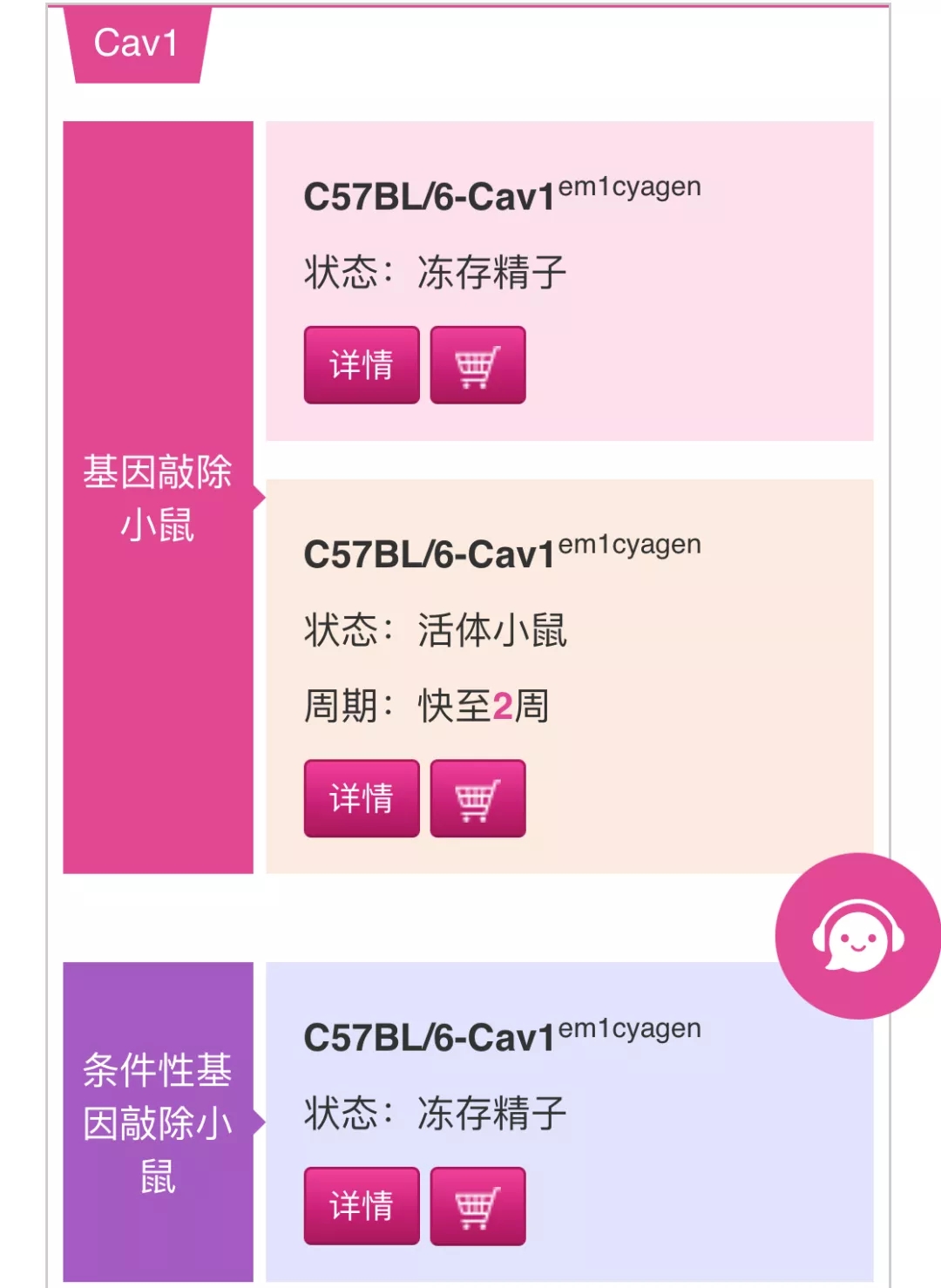 Cav1基因敲除小鼠与特发性肺纤维化