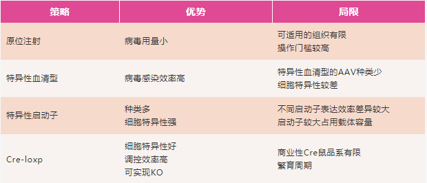 AAV是如何实现特异性表达调控的？