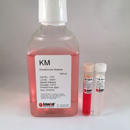 SC2101(KM角质细胞培养基)500ml