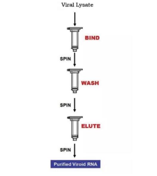 要不要和我们一起来捕获蛛丝马迹的病毒RNA？