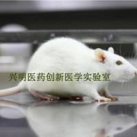 产品图