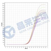 LncRNA RT-qPCR检测