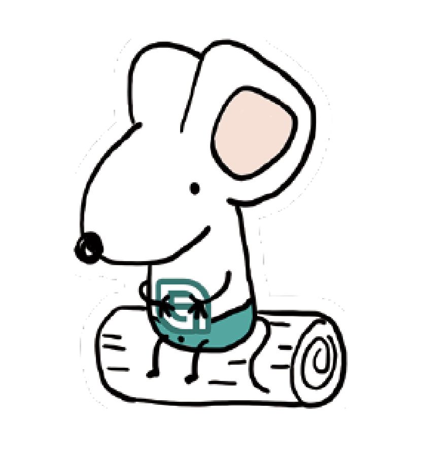 NCG-hIL15 免疫缺陷小鼠模型 人源化模型 ki基因敲入模型