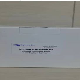 细胞核蛋白提取试剂盒/Nuclear Extraction Kit
