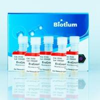 Biotium 核酸染料 EvaGreen Dye, 20X in Water 31000-T