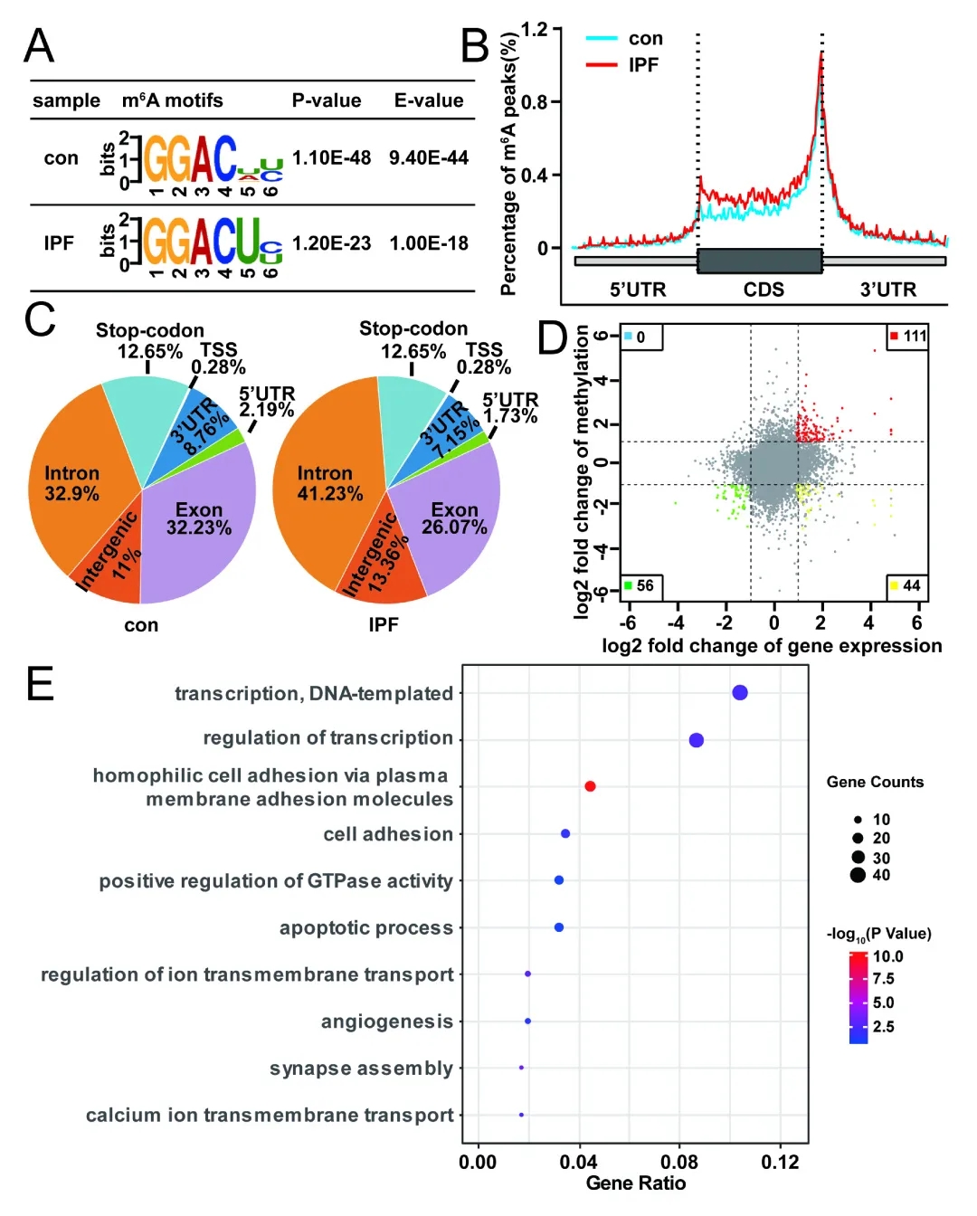 2021客户MeRIP测序文章推荐丨值得借鉴，赶紧收藏！