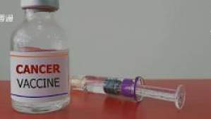 丁香实验推荐阅读