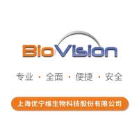 ToxOut™ Endotoxin-Free Protein A Agarose