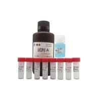 ZJ102L Omni-Easy™即用型BCA蛋白定量试剂盒