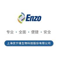 pro-NEDD8 (h)(rec.)(His)