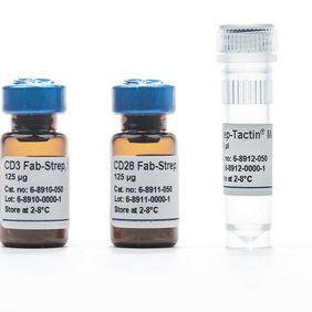 CD3/CD28 Streptamer® Kit, human ，CD3/CD28激活扩增试剂盒