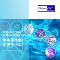 NK92完全培养基NK92-CM