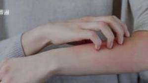 丁香实验推荐阅读