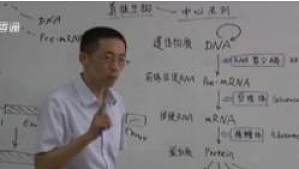 丁香实验推荐阅读