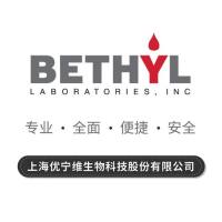 Rabbit anti-RNA Polymerase II Antibody, Affinity Purified; RNA Polymerase II抗体