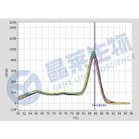 端粒酶TRAP-PCR银染法