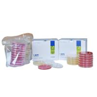 大肠杆菌O157显色培养基平板 大肠杆菌O157显色琼脂培养基