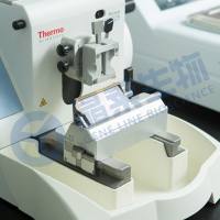 石蜡/冰冻切片免疫组化