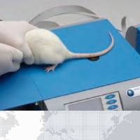 【中国区总代理】Ugo大小鼠疼痛甩尾仪，小动物疼痛甩尾仪