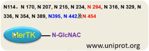 专家讲坛 | 威斯腾生物联合中国抗癌协会肿瘤代谢专委会网络学术沙龙系列讲座第四十七讲