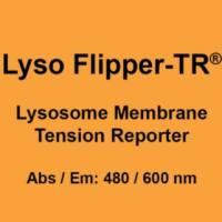 Lyso Flipper-TR®溶酶体特异性活细胞荧光膜张力探针