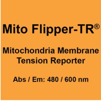Mito Flipper-TR®线粒体特异性活细胞荧光膜张力探针