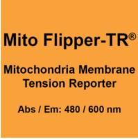 Mito Flipper-TR®线粒体特异性活细胞荧光膜张力探针