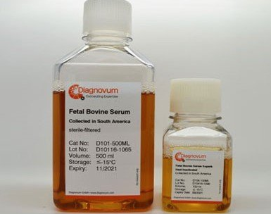 血清使用事项说明