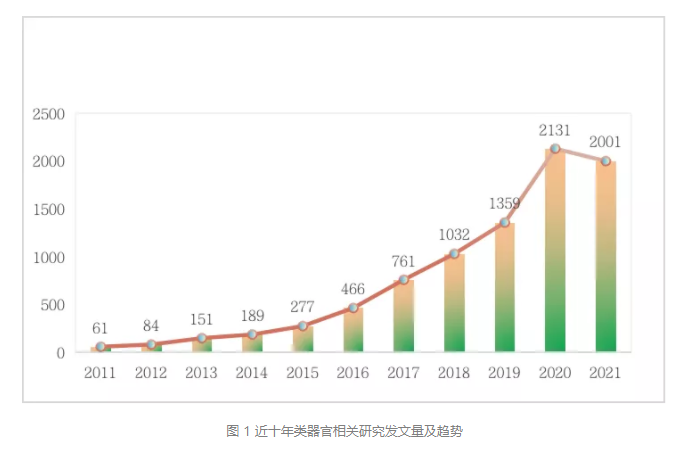 体外「替身」试药，类器官或将加速肿瘤药物筛选研发