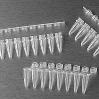Axygen® 低位PCR 8联排管