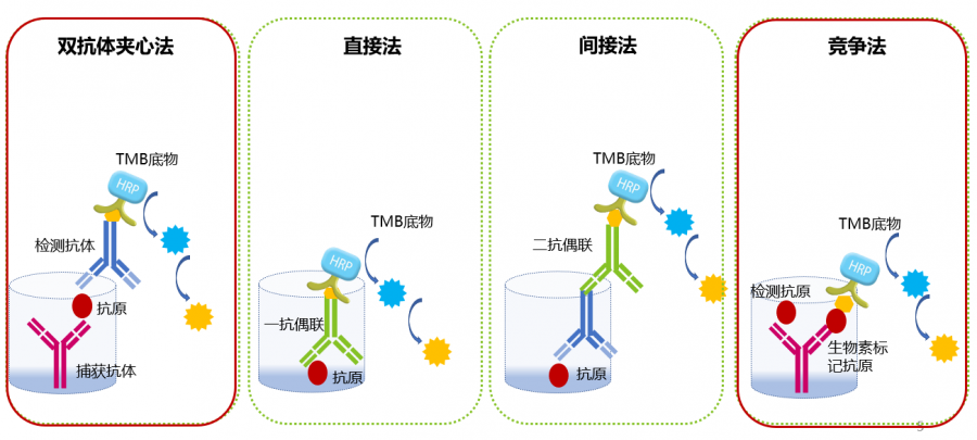 elisa 与常规免疫实验对比:酶联免疫吸附检测,利用抗原抗体的特异