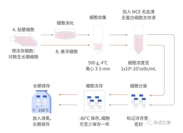 技术干货|细胞冻存技术，一学就会