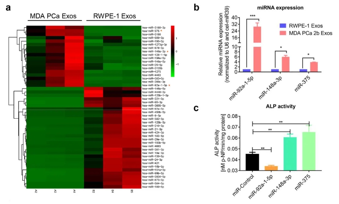 7篇IF＞10外泌体miRNA研究高分文章推荐，先收藏，慢慢学习！