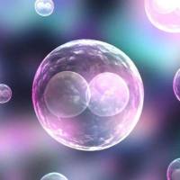 HuCCT1细胞、HuCCT1细胞、HuCCT1细胞