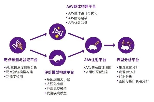 9.27晚7点 | 走进基因治疗时代——聊聊研究前的准备工作