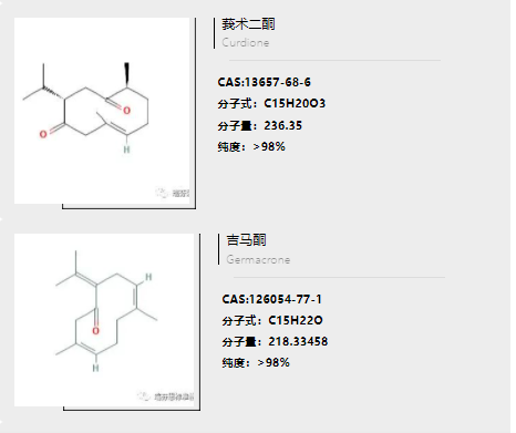新闻图片5