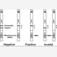 AMP药物滥用快速检测卡(金标法)