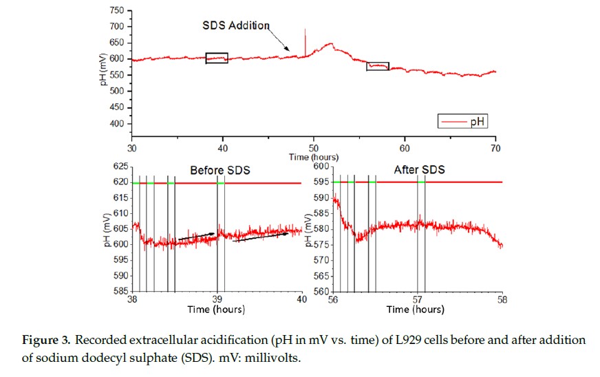类器官代谢分析仪:实时监测皮肤类器官的细胞层电阻和细胞外酸化率