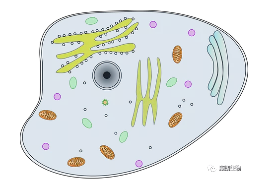 如何养好细胞？细胞培养技巧分享