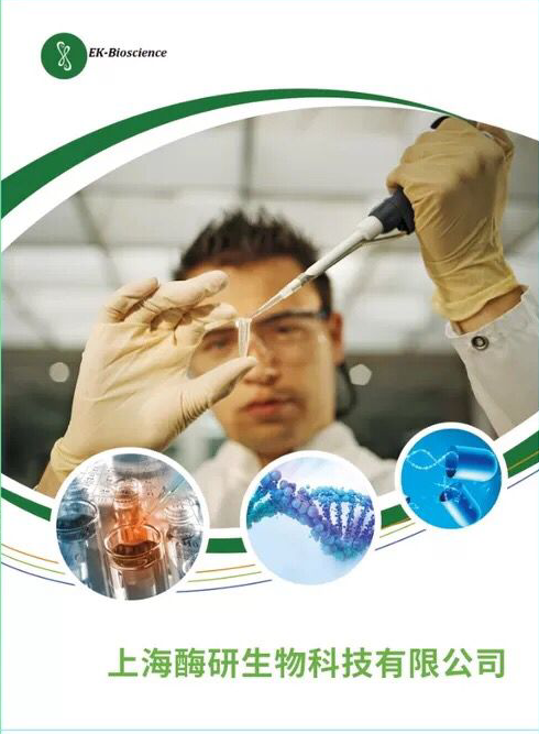 胎牛血清、南美特级胎牛血清