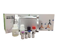 抗凝血酶III(AT-III)ELISA试剂盒