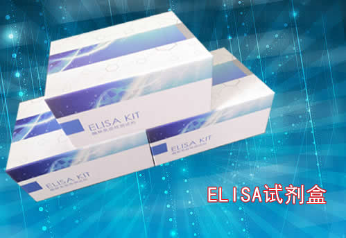 猪弹性蛋白(ELN)ELISA试剂盒洗涤方法