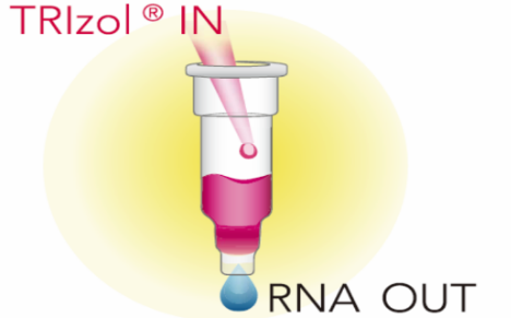 RNA提取纯化原理及操作步骤