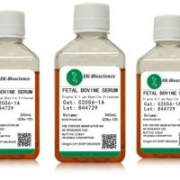 胎牛血清，胎牛血清