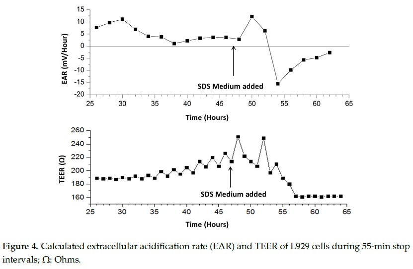 类器官代谢分析仪：实时监测皮肤类器官的细胞层电阻和细胞外酸化率