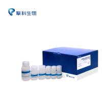 植物基因组DNA提取试剂盒/通用型植物DNA提取试剂盒/核酸提取及纯化试剂/擎科生物TSINGKE