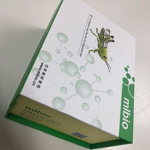 人B-淋巴细胞趋化因子1(BLC-1-CXCL13)ELISA试剂盒