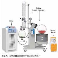 韩国原装进口DAIHAN大韩－20℃+40℃ 重型制冷外部循环器代理商报价